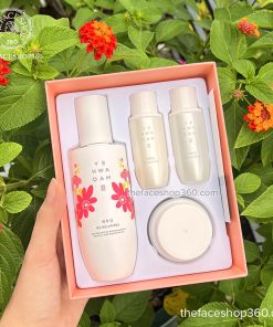 Bộ dưỡng trắng sáng da Yehwadam Jeju Magnolia Pure Brightening Serum Special Gift Set (4SP)