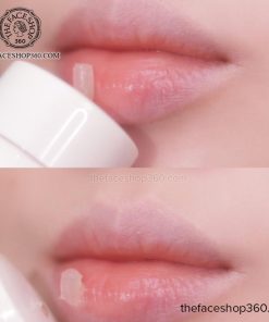 Review Dưỡng Môi thuần chay The Therapy Vegan Multi Lipcerin The Face Shop 15ml