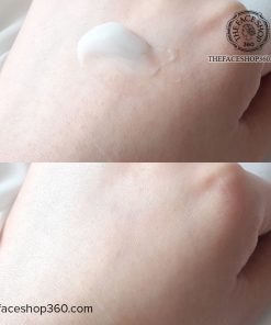Review Set kem dưỡng ẩm chống lão hóa thuần chay dịu da The Therapy Vegan Blending Cream Special Set The Face Shop