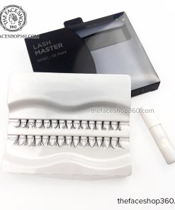01 Point - Mi Giả Daily Beauty Tools Lash Master Basic The Face Shop